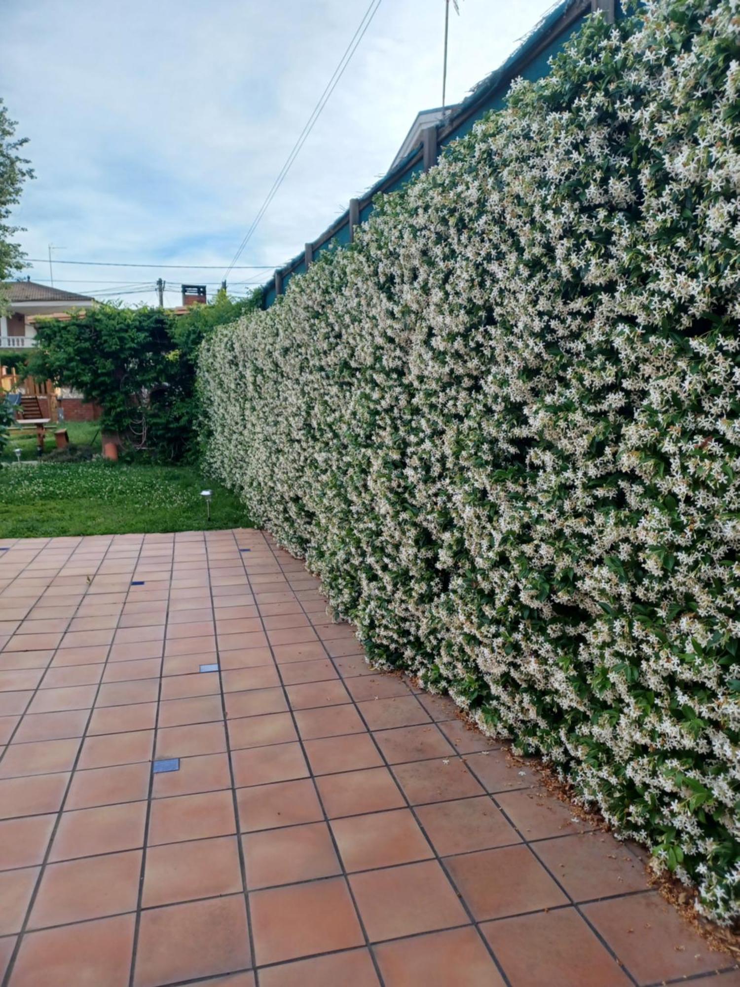 지로나 Piscina De Sal Barbacoa Wifi, Parking Gratis, 3 Min Pga Casa El Roble 빌라 외부 사진